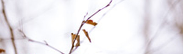 В предстоящие выходные дни стабильности от погоды ждать не следует