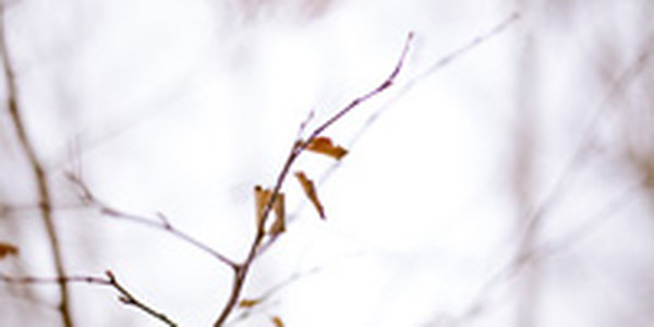 В предстоящие выходные дни стабильности от погоды ждать не следует