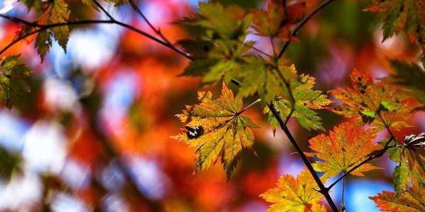 Жителей Приморья ждёт тёплый сентябрь