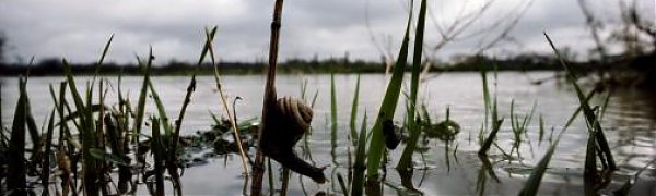 Из-за дождей приморские реки выходят из берегов