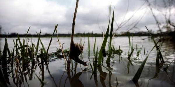 Из-за дождей приморские реки выходят из берегов