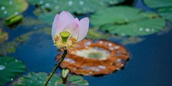 Затяжные дожди и похолодание: синоптики рассказали о погоде в Приморье на неделю