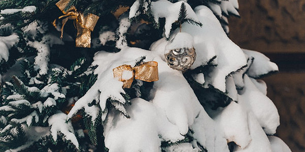 В канун Нового года во Владивостоке ожидается умеренно морозная погода