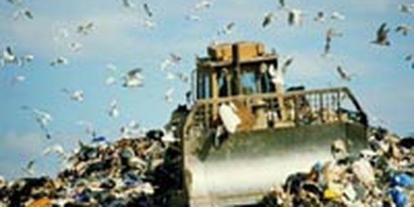 Строительство полигона на Горностае начнется уже в этом году