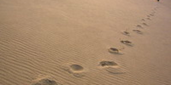 Сергей Степанченко и его «Следы на песке» - главный дебют Pacific Meridian