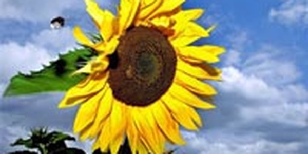 Прощальное тепло августа. Каким был этот месяц в Приморье?