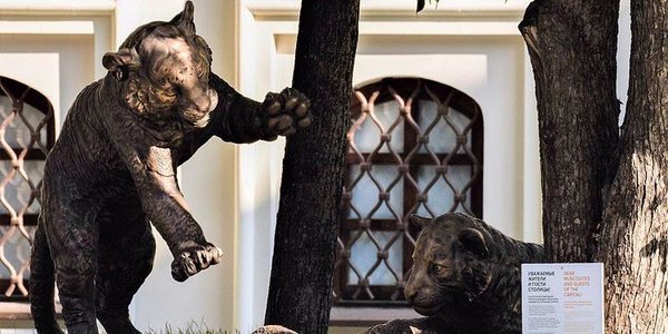 В центре Москвы появится скульптура амурских тигрят