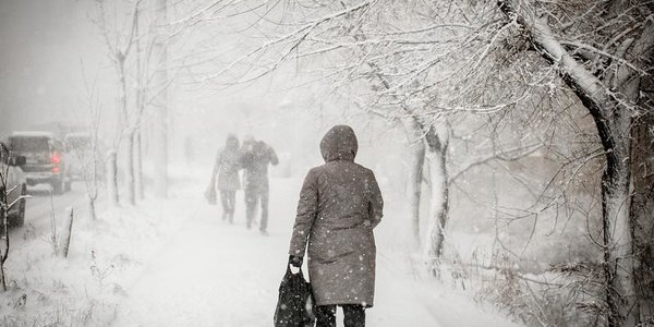Снегопады с сильным ветром и метелями ожидают Приморье на Новый год