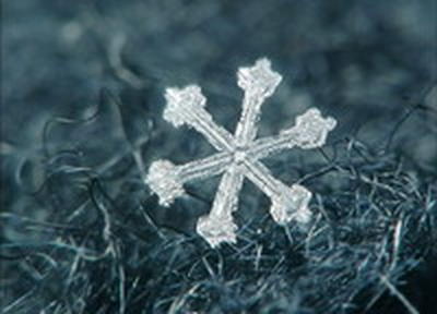 За теплом в Приморье может прийти небольшой снег
