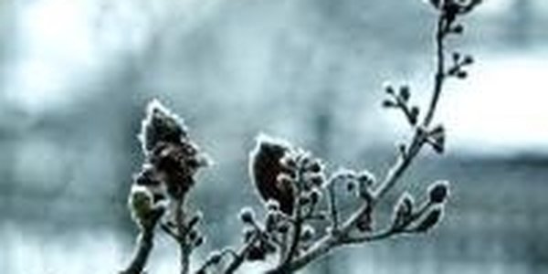 Морозный утренний воздух опасен для здоровья