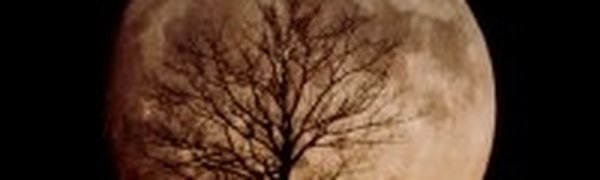 Ждать ли катастроф от суперлуния 19 марта?