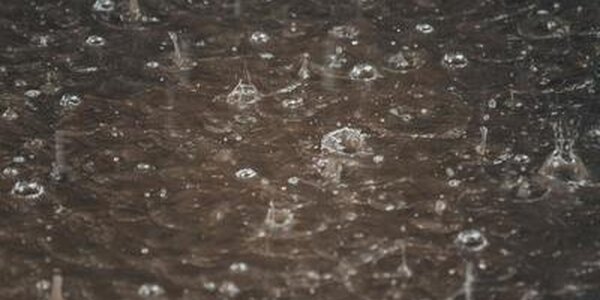 До 22 мм осадков выпало в некоторых районах Приморья во вторник