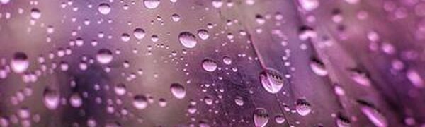 Предпоследние выходные мая были дождливыми и теплыми