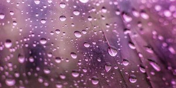 Предпоследние выходные мая были дождливыми и теплыми