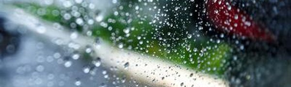 Дожди будут идти во многих районах Приморья большую часть рабочей недели