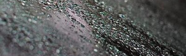 Циклон продолжит оказывать влияние на погоду Приморья в пятницу