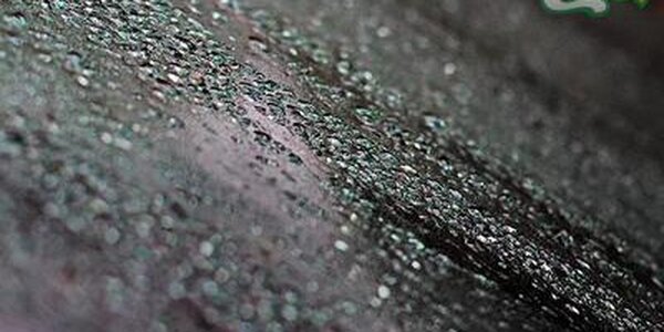 Циклон продолжит оказывать влияние на погоду Приморья в пятницу