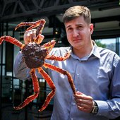 Со 2 по 16 июля во Владивостоке пройдёт гастрономический фестиваль «Держи краба!»