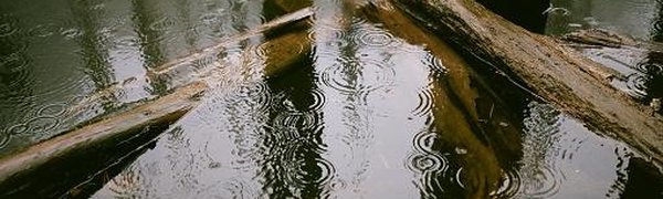 На реках Приморья ожидается резкий подъём уровня воды