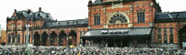 Один из самых велолюбивых городов мира находится в Голландии