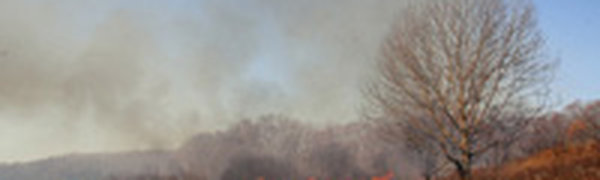 На Владивосток северными потоками выносится дым от лесных пожаров