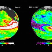 Явление Эль-Ниньо достигло своего пика в ноябре и декабре