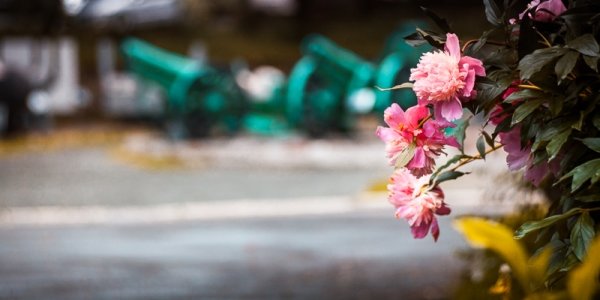 Во Владивостоке пройдет небольшой дождь