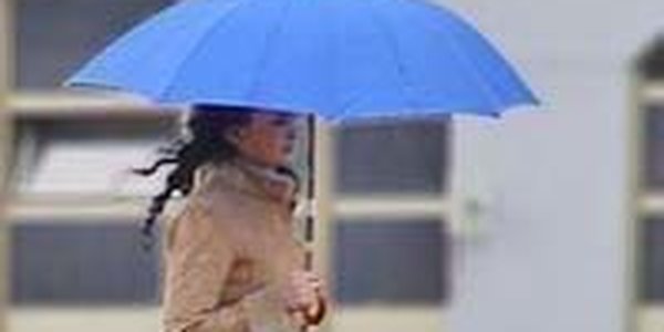 Середина июня выдалась прохладной и дождливой