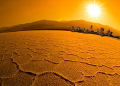 Сегодня Всемирный день борьбы с опустыниванием и засухой