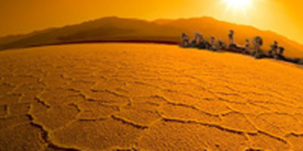 Сегодня Всемирный день борьбы с опустыниванием и засухой