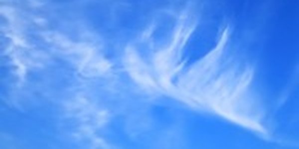 Погода на выходных будет комфортной