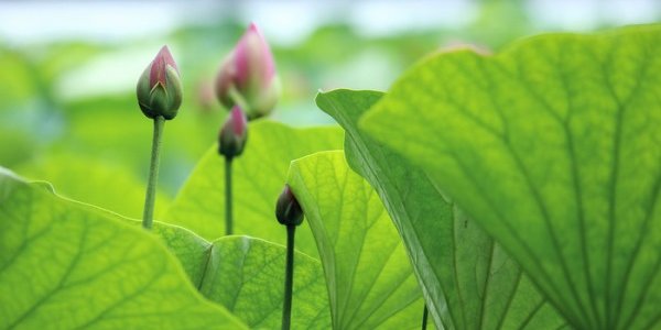 В выходные дни в Приморье ожидается улучшение погоды