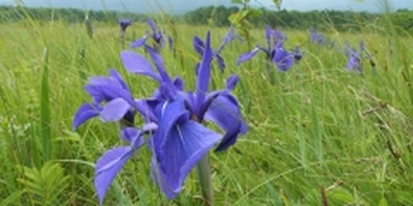 Сегодня в Приморье погода без осадков