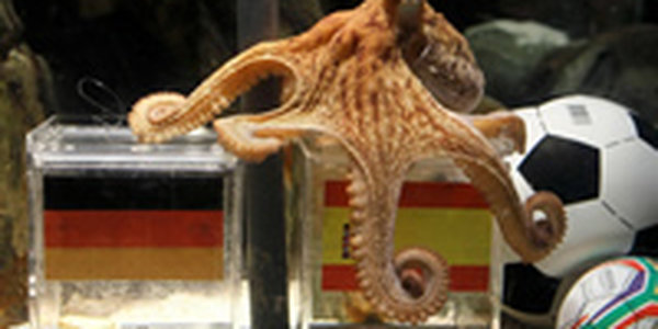 Осьминог Пауль посоревнуется с российскими экстрасенсами