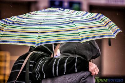 В выходные в Приморье жара спадёт, пройдут дожди