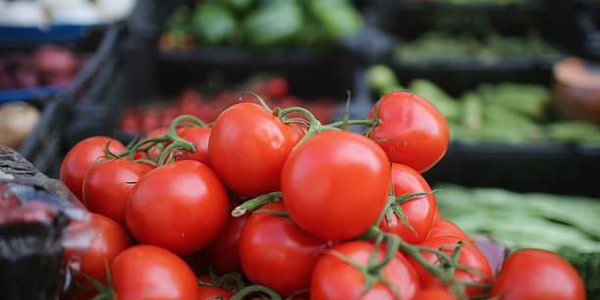 Главная ярмарка Владивостока будет работать один день