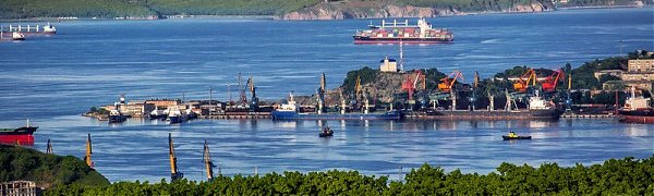 Специалисты оценили состояние акватории залива Петра Великого