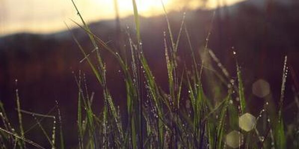 Небольшие дожди и похолодание пришли в Приморье