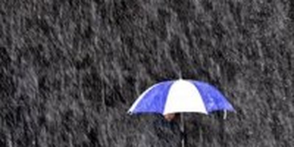 Вторая декада марта  выдалась влажной