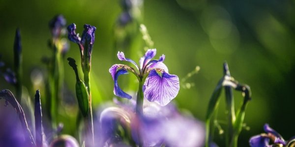 Летнее тепло возвращается в Приморье