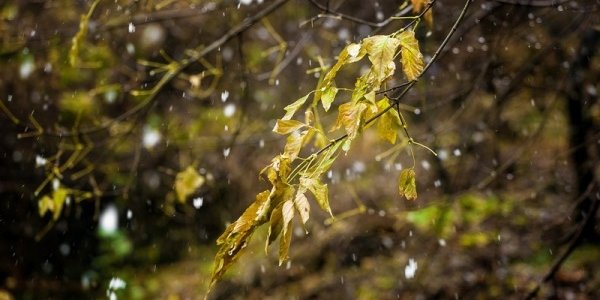 Холодный фронт принесёт в Приморье дождь со снегом