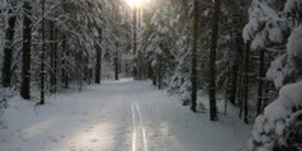 Каким оказался последний месяц зимы в Приморье