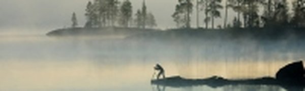 Дикая природа России