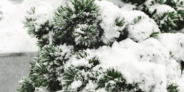 За сутки во Владивостоке выпало более 1,5 декадной нормы снега