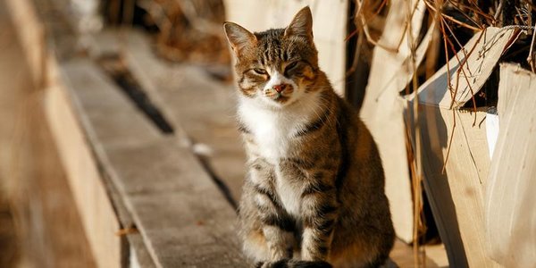Во второй половине рабочей недели в Приморье станет теплее