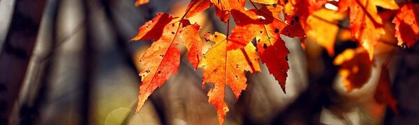 Жители Приморья насладились прекрасной погодой на выходных (ФОТО) 