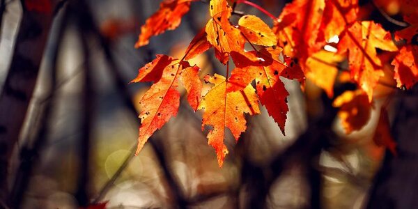 Жители Приморья насладились прекрасной погодой на выходных (ФОТО) 