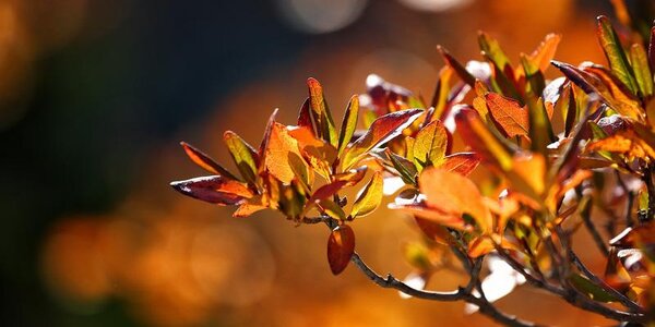 На этой неделе воздух в Приморье прогреется до +12°С