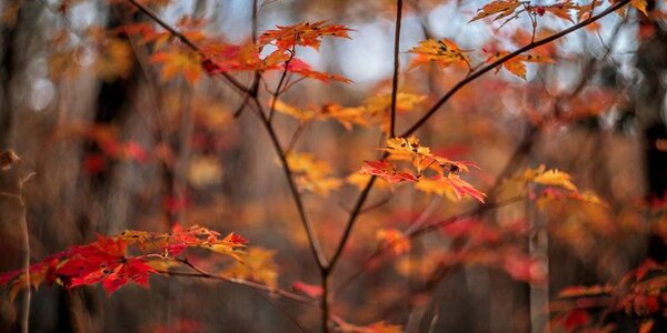 Положительная аномалия температуры в Приморье достигает 6 градусов