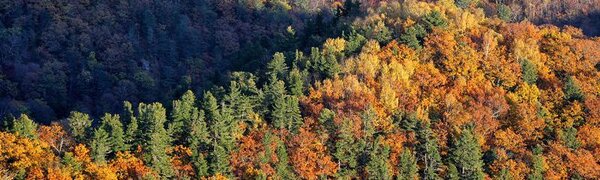 Похолодание пришло в Приморье после дождей